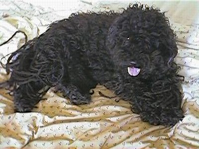 The calm before the storm